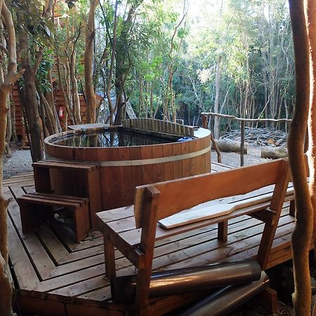 Cabanas Ensenada Bosque Nativo Exterior photo