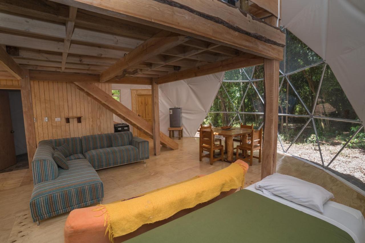 Cabanas Ensenada Bosque Nativo Exterior photo