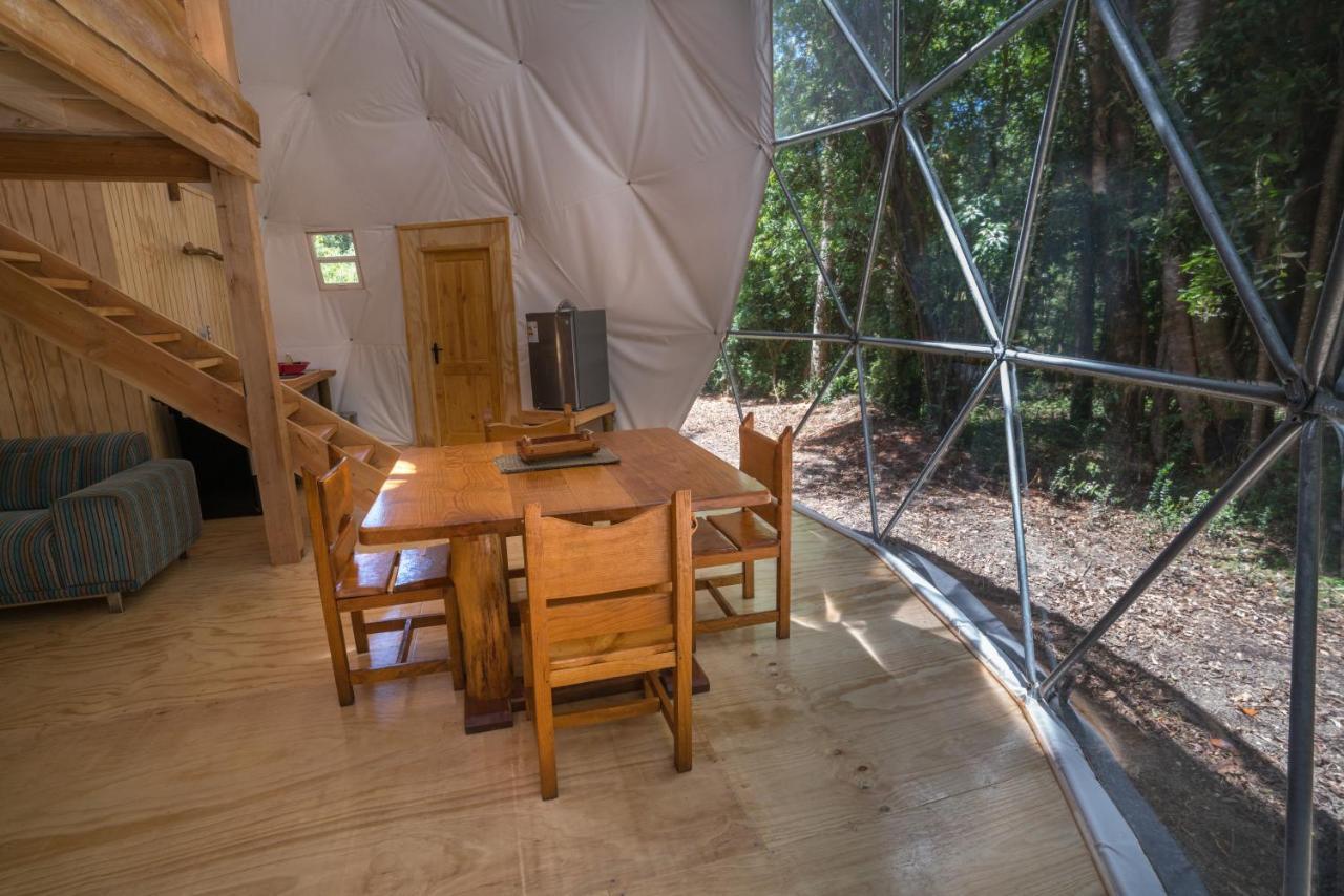 Cabanas Ensenada Bosque Nativo Exterior photo