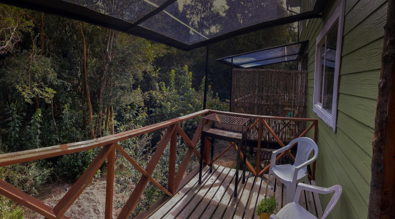 Cabanas Ensenada Bosque Nativo Exterior photo