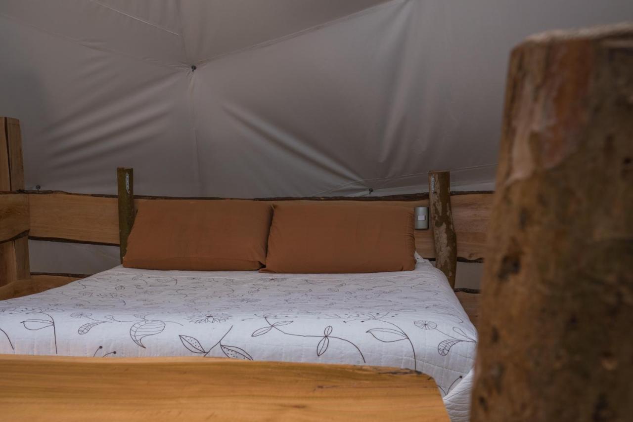 Cabanas Ensenada Bosque Nativo Exterior photo