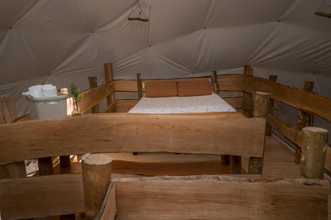 Cabanas Ensenada Bosque Nativo Exterior photo