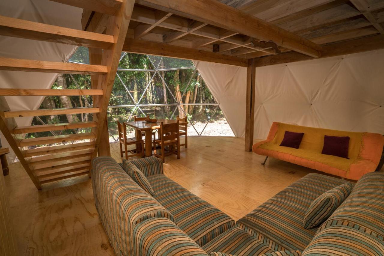 Cabanas Ensenada Bosque Nativo Exterior photo