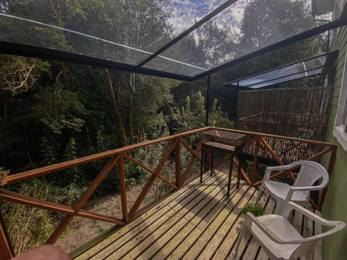 Cabanas Ensenada Bosque Nativo Exterior photo