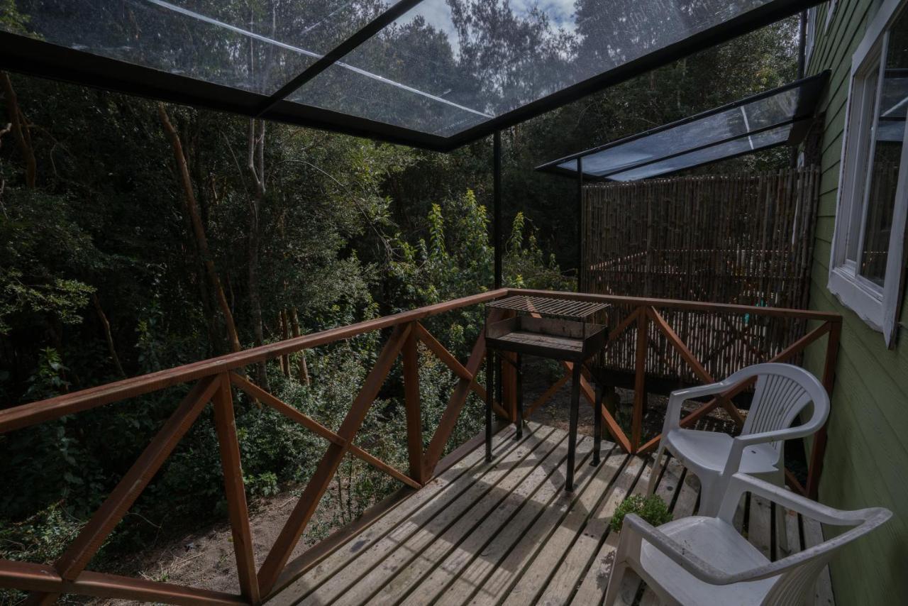 Cabanas Ensenada Bosque Nativo Exterior photo