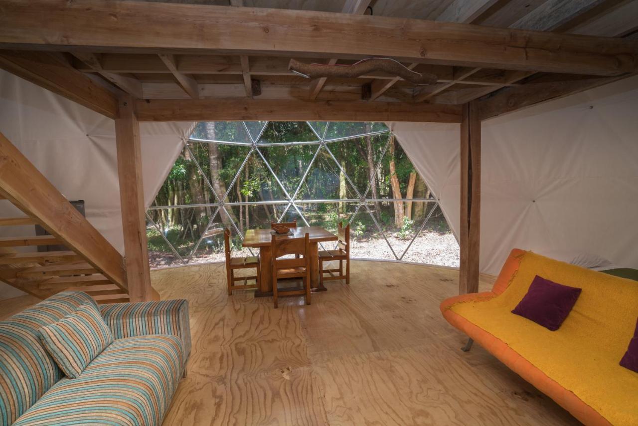 Cabanas Ensenada Bosque Nativo Exterior photo