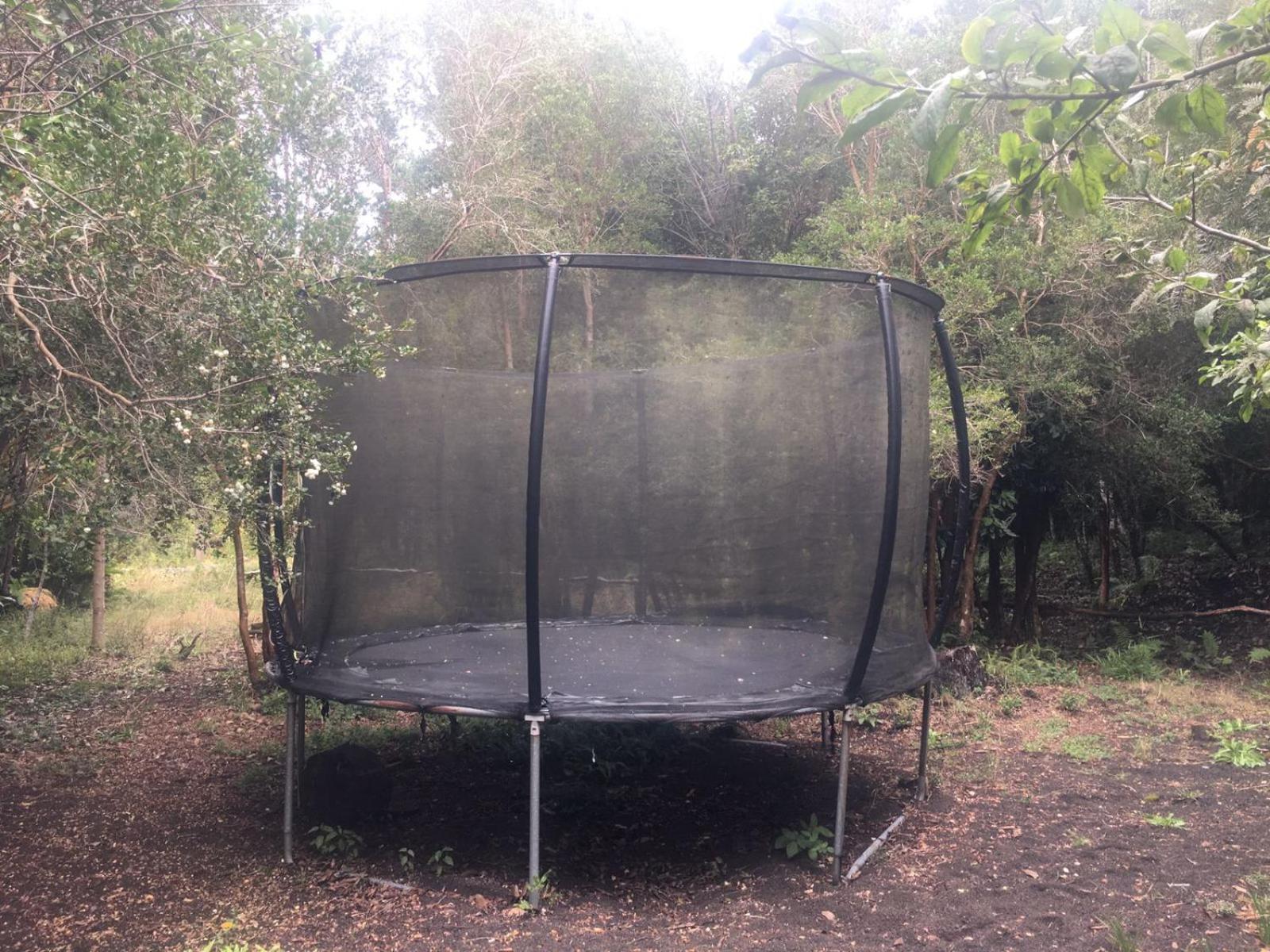 Cabanas Ensenada Bosque Nativo Exterior photo